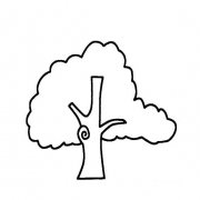 画一棵大树的简单画法