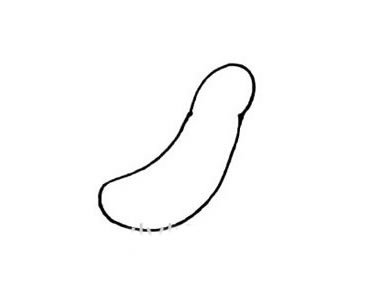 如何画黄瓜简笔画步骤图解教程