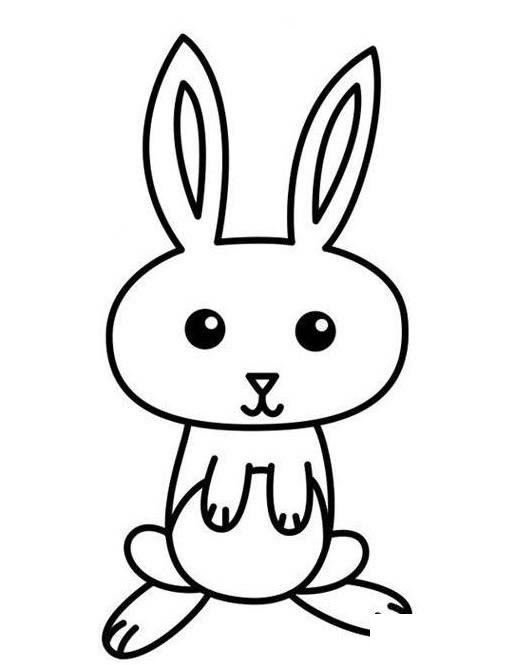 兔子胡萝卜简笔画_小兔子和胡萝卜简笔画图片大全