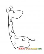 动物简笔画（长颈鹿）4
