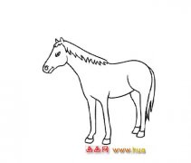 一匹千里马（儿童简笔画）