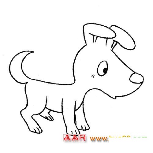 简笔画│高兴的小狗2