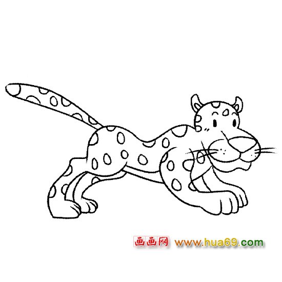 奔跑的豹子简笔画