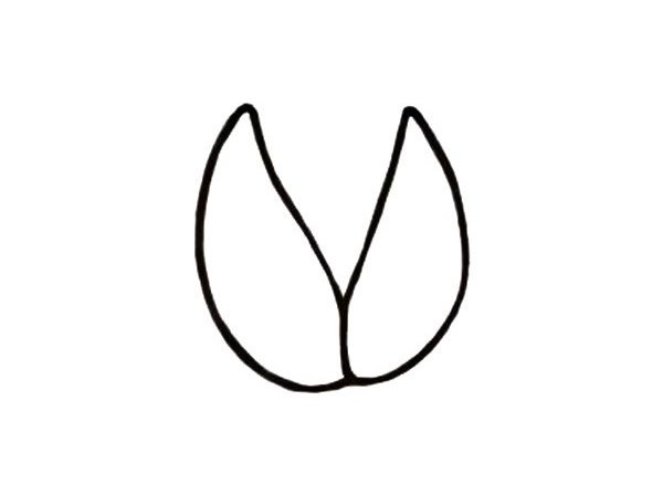 卡通开心果简笔画