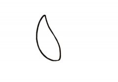 卡通开心果简笔画步骤图解