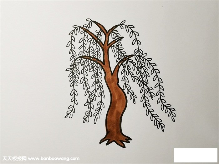 简单又好看的柳树画法