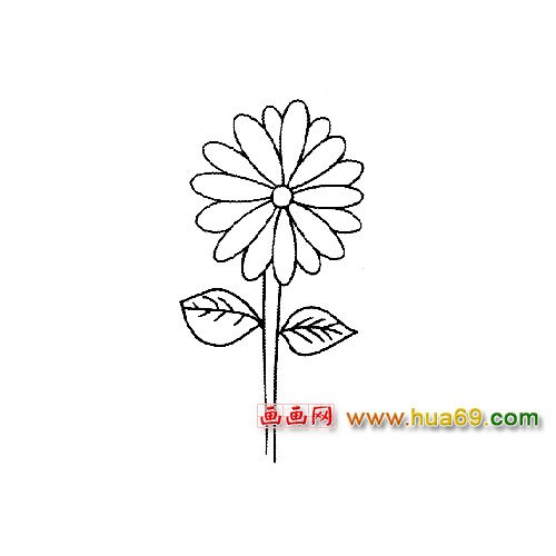 一朵菊花│花卉简笔画