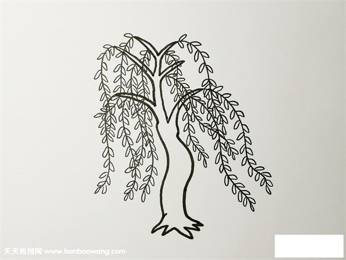 简单又好看的柳树画法