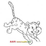 动物简笔画：奔跑的小豹子