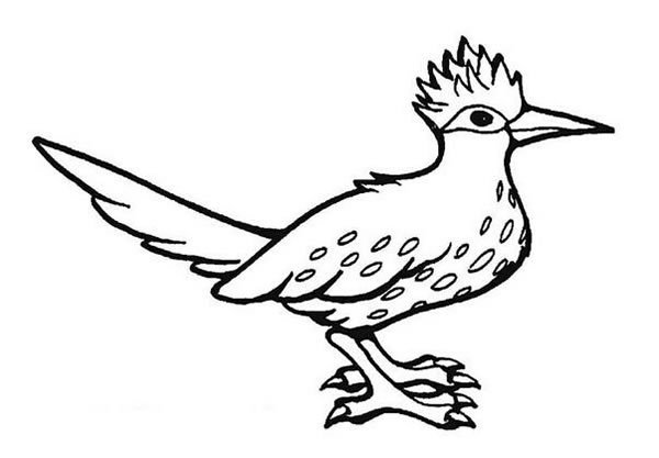 小鸟简笔画图片大全_超简单的鸟儿简笔画图片素材