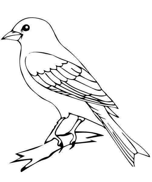 小鸟简笔画图片大全_超简单的鸟儿简笔画图片素材