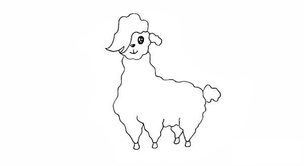 羊驼简笔画步骤图