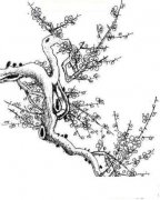 梅花简笔画画法_怎么画梅花