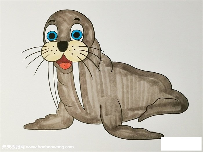 海狮简笔画步骤