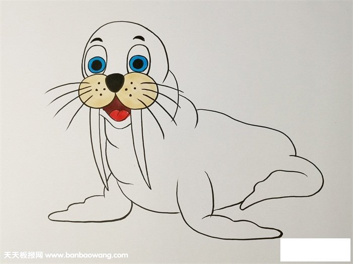 海狮简笔画步骤
