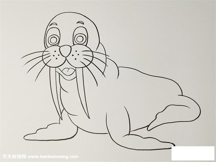 海狮简笔画步骤