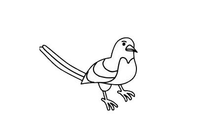 喜鹊简笔画图片