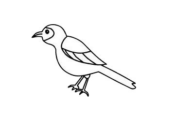 喜鹊简笔画图片