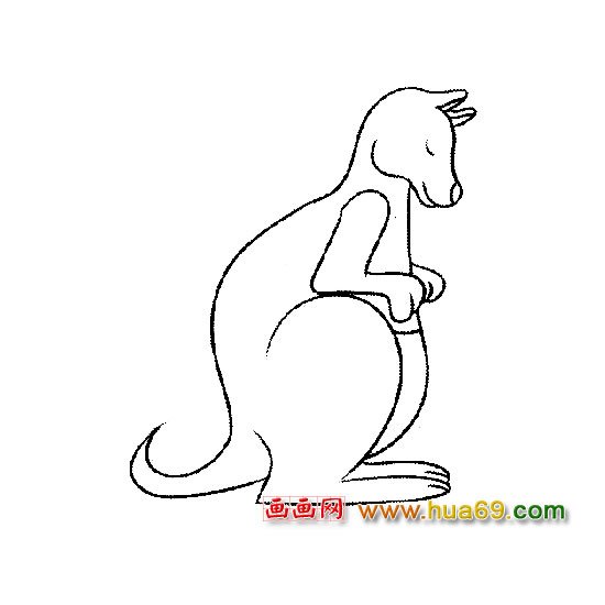 卡通简笔画│袋鼠5