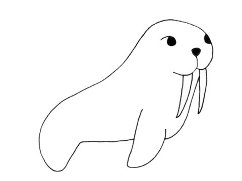 海象简笔画图片