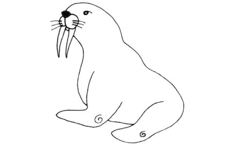 海象简笔画图片