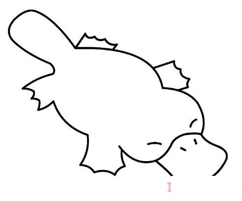 怎样画鸭嘴兽简笔画步骤图带颜色可爱