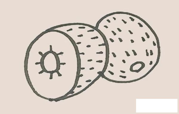 猕猴桃简笔画图片