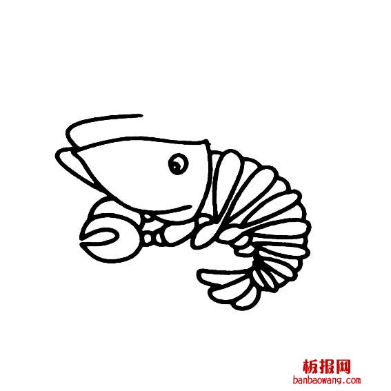 大龙虾的简笔画法