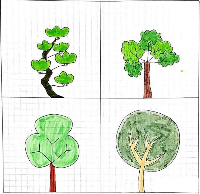 小清新绿植简笔画