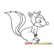 简笔画【调皮的小松鼠】5