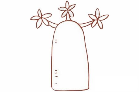 面包树简笔画图片步骤三