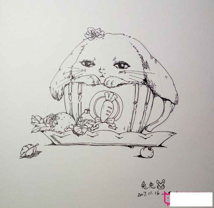 卡通动物简笔画图片，可爱的兔子简笔画