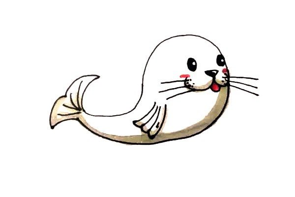 海豹简笔画步骤图