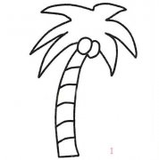椰子树简笔画大全椰子树的画法步骤图