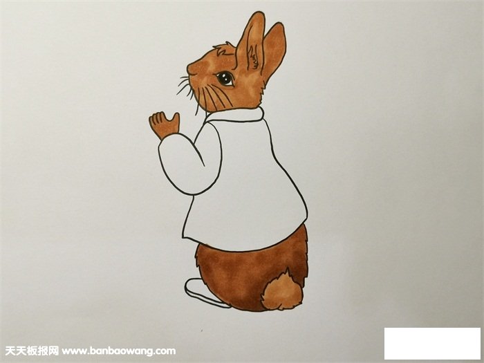 彼得兔简笔画教程