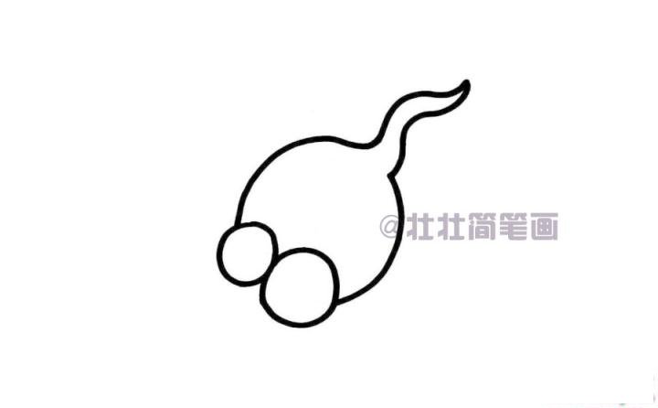蝌蚪简笔画画法_怎么画蝌蚪的简笔画
