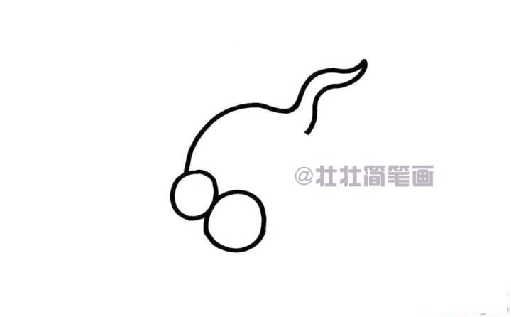 蝌蚪简笔画画法_怎么画蝌蚪的简笔画