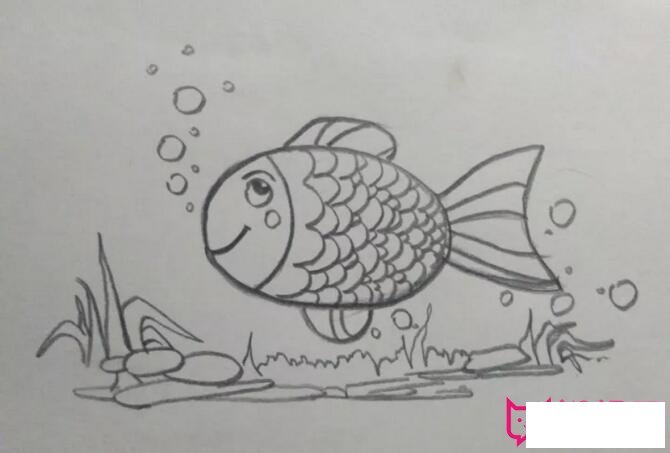 简单的儿童画教程,小鱼吐泡泡
