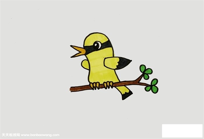 黄鹂怎么画