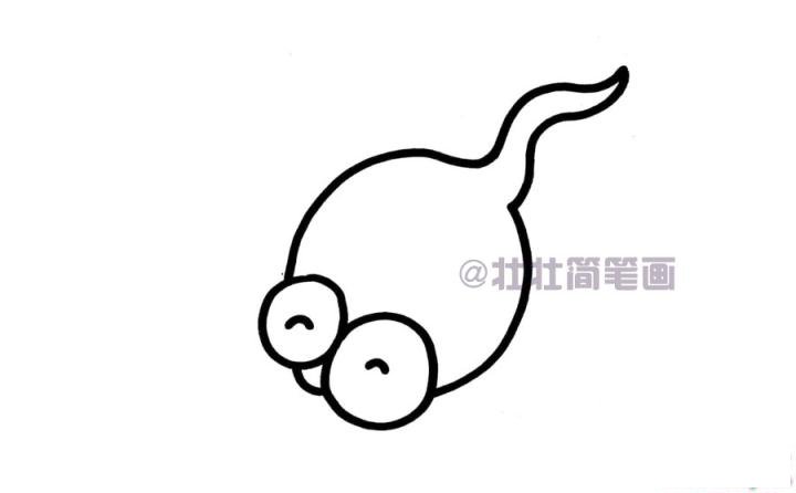 蝌蚪简笔画画法_怎么画蝌蚪的简笔画