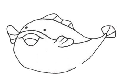 河豚简笔画图片