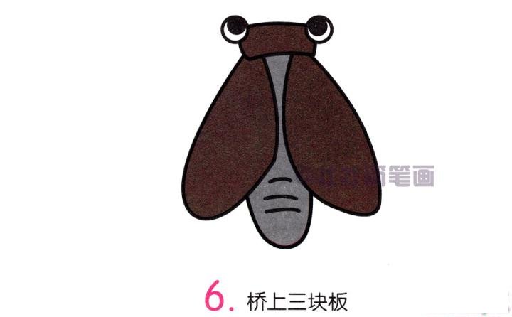 蝉简笔画画法_怎么画蝉的简笔画