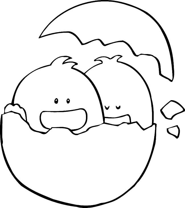 破壳而出的鸭子动物简笔画步骤图片大全