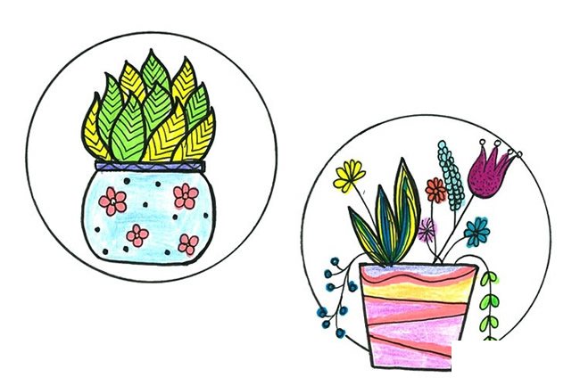 手绘小盆栽简笔画