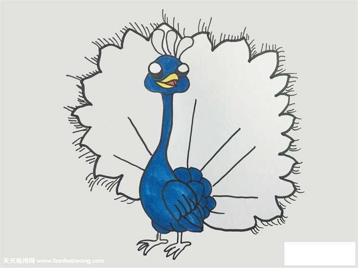 怎么画孔雀开屏