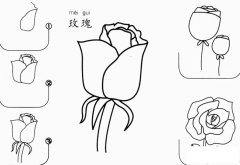 玫瑰花怎么画简笔画图片