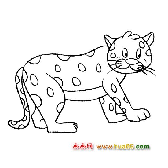 动物简笔画-觅食的豹子