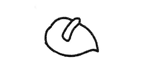 红掌简笔画的画法