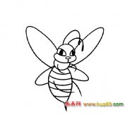 飞翔的蜜蜂简笔画3