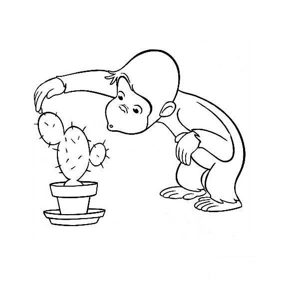 小猴子和仙人掌的简笔画故事